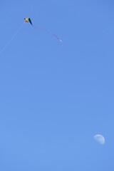 Drachen in blauem Himmel mit Mond im Hintergrund