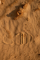 Fototapeta premium Human footprint on the sand texture