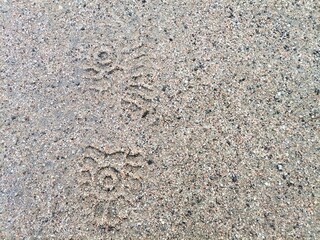 Background Shoe mark in the sand.