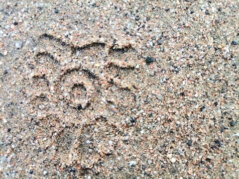 Background Shoe mark in the sand.