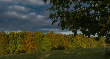 Fototapeta premium Sunrise time near Ceske Budejovice city in autumn morning with green forest