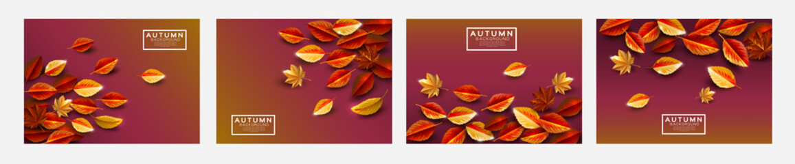 Vector set of template autumn background decorate with fall leaves and space. Autumn luxury template for shopping sale promotion, poster, leaflet, web banner, greeting card and festival invitation.