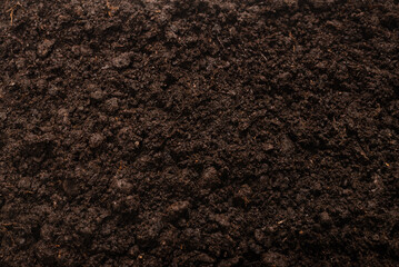 Black land for plant background.