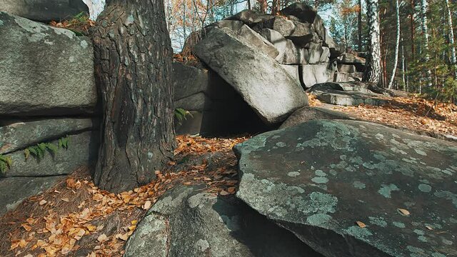 Ancient stones in the forest. The rock and the trees. The video can be used in movies, reportage, as footage, in a music video.