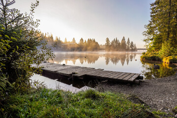 See im Nebel im Herbst