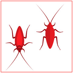 Cockroach insect icons set, Vector Illustration. Red Cockroach.