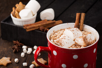Winter hot drink. Hot chocolate or cocoa with marshmallow and spices on dark background.