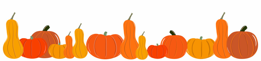 Pumpkin banner Halloween background hand drawn vector illustration. Thanksgiving Day or harvest festival card with place for text
