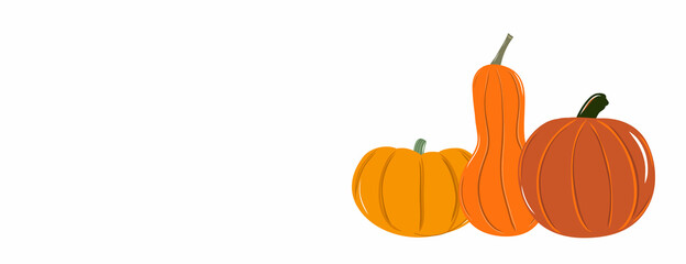 Pumpkin banner Halloween background hand drawn vector illustration. Thanksgiving Day or harvest festival card with place for text