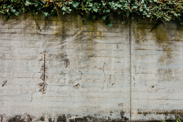Feuchte Beton Wand mit Wasserflecken