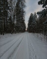 Obraz premium road in snow