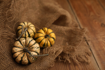 small beautiful pumpkins on vintage wooden background