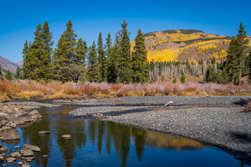 Mountain Stream Crested Butte