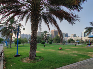 Obraz premium Famous Abu Dhabi city corniche park, UAE - beautiful modern park scene at sunset - stress free view