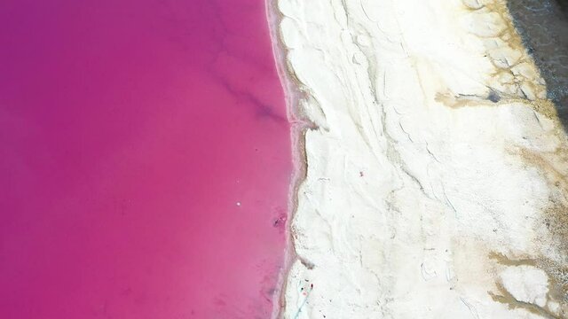Aerial video flying over pink salt lake water from drone. Genichesk, Ukraine. 4k UHD footage