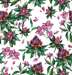 Watercolor floral pattern with pink tropical flowers and  with a white background.