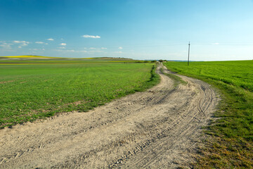 Fototapeta na wymiar Sandy road through green fields and blue sky