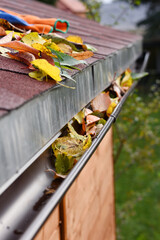 Leaves in eaves. Cleaning gutter blocked with autumn leaves. Czech republic, Europe.