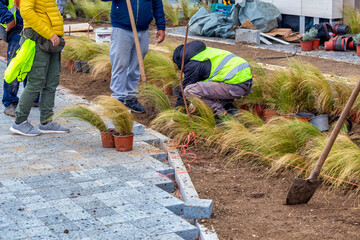 Workers installing flower beds in the city park
