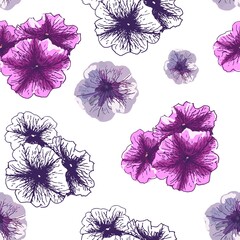 Floral seamless vector pattern, white background. Beautiful flowers like petunia, romantic design. - 386475871