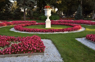 Old garden in Moscow Kremlin. Pink begonia flowers blooming. Color summertime photo. 