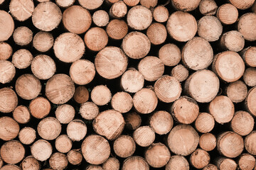 Pile of wood logs background. Round wooden texture. Freshly cut tree wooden logs for winter