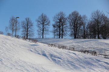 Fototapeta na wymiar Silhouettes of trees against the blue winter sky.Winter landscape.