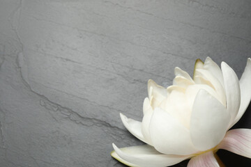 Beautiful white lotus flower on grey table, top view. Space for text