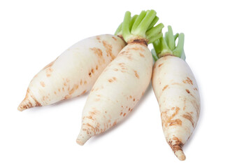 baby white radish isolated on white background with clipping path