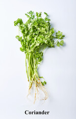 top view coriander on white background