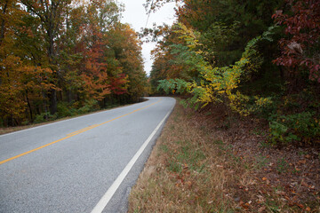 Fototapeta na wymiar Road through the Autumn woods