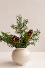 Fir branch with a cone in a vase on a white background