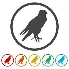 Falcon Logo silhouette Design ring icon, color set