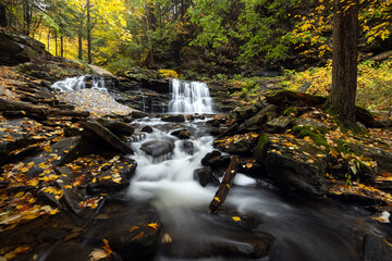 Fall Foliage Festival