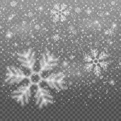 Winter snowfall and snowflakes on transparent background. White snowflakes fly in the air. Christmas snow. Vector heavy snowfall, snowflakes in various shapes and forms.