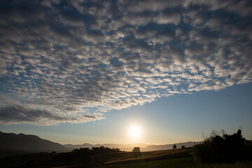 Wonderful sunrise with many small fluffy and soft white clouds in the blue sky. ( Cirrocumulus )