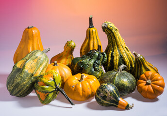 Collection of very colorful cucurbits. Autumn and Halloween.
