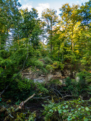 Sandstein Felswand im Wald