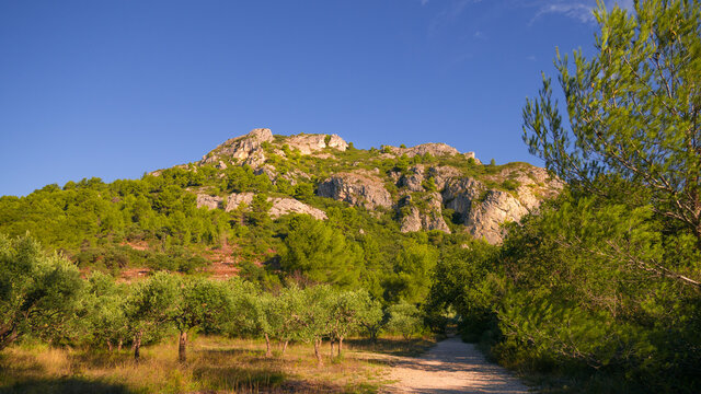Gorges de Regalon Parc naturel regional du Luberon - France
