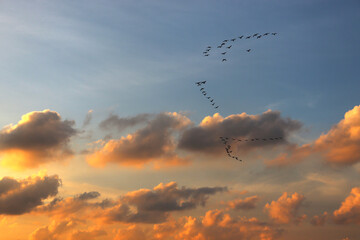 the evening sun hiding on the horizon