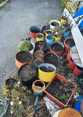 flower pots with earth lot