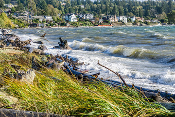 Windy Ocean Landscape 5
