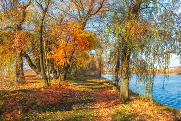 Autumn on pond