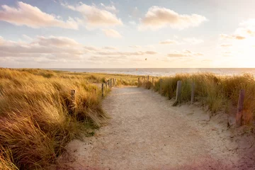 Poster de jardin Mer du Nord, Pays-Bas Les dunes avec de l& 39 herbe de plage sur la côte de la mer du Nord dans la province de Hollande du Nord aux Pays-Bas