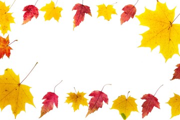 Closed frame of autumn leaves of different colors and different types on a white background.