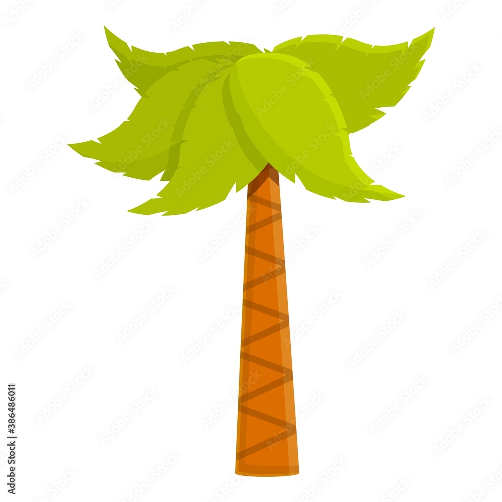 Poster beautiful palm tree icon. cartoon of beautiful palm tree vector icon for web design isolated on whit