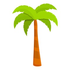 Coconut palm icon. Cartoon of coconut palm vector icon for web design isolated on white background