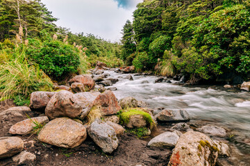 Mountain stream in Tongariro National Park