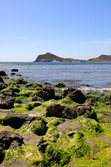 playa genoveses almería primavera 4M0A1492-as20