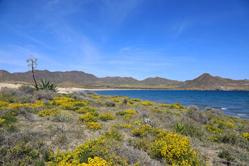 playa genoveses almería primavera azul  4M0A1623-as20